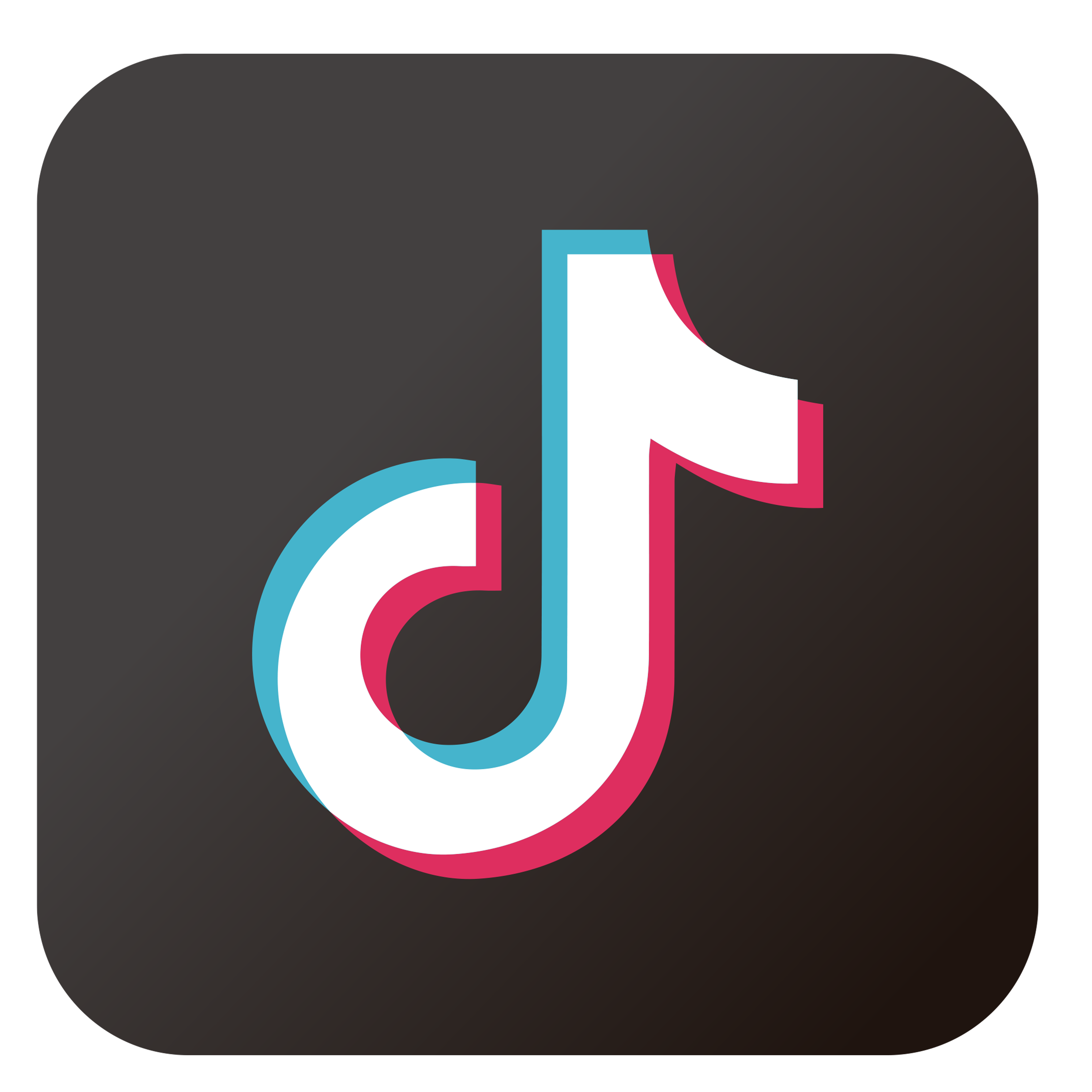 Tiktok Icon